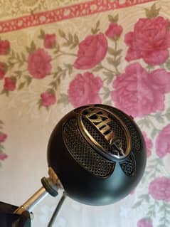 Microphone