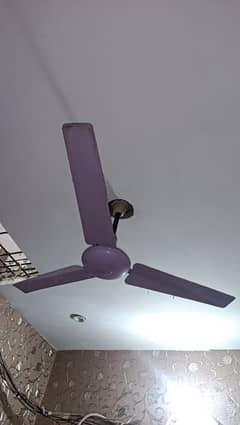 ceiling fan