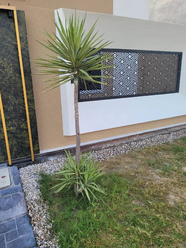 Brand New Double Storey House 60 Feet Road 40