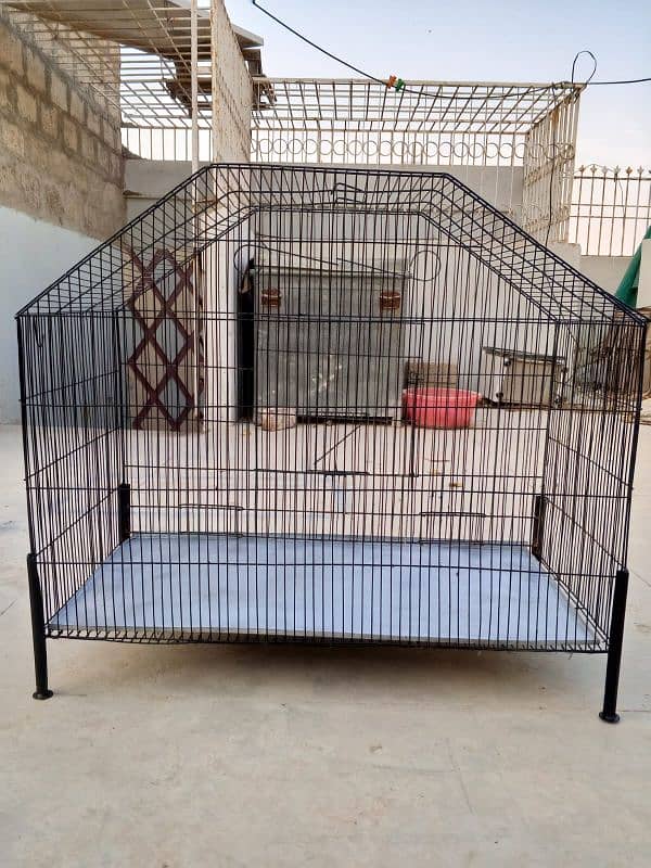 birds cage 3