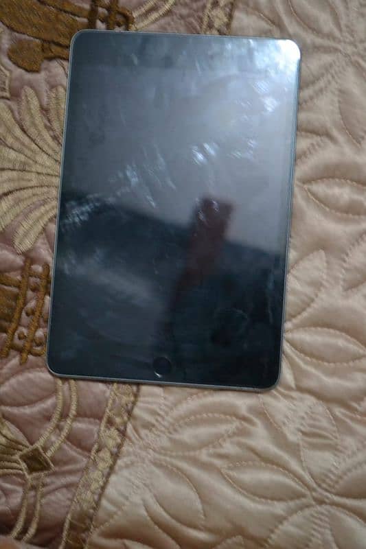 ipad mini 5 0