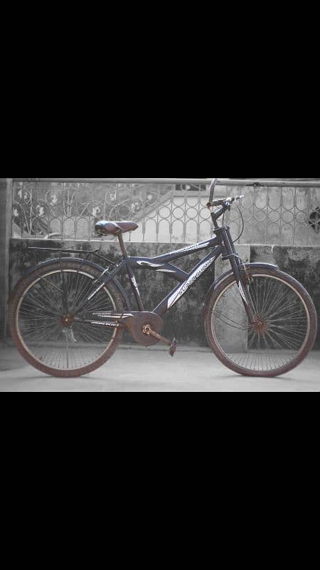 "Well-Maintained Used cycle 2