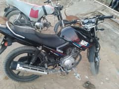 YBR 125