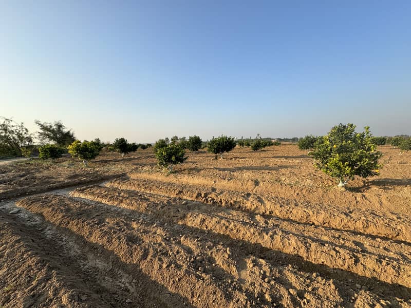 450 Kanal Land For Farm House Chakwal For Sale Punjab 0