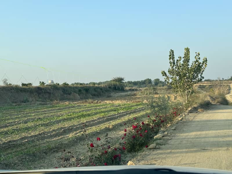 450 Kanal Land For Farm House Chakwal For Sale Punjab 1