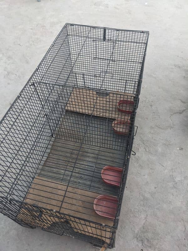 2 cage 0