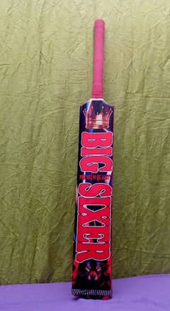 Cricket bat