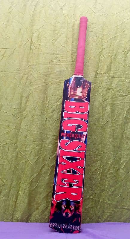 Cricket bat 2