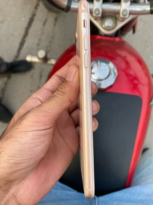 iPhone 8 Plus PTA APPROVED 6