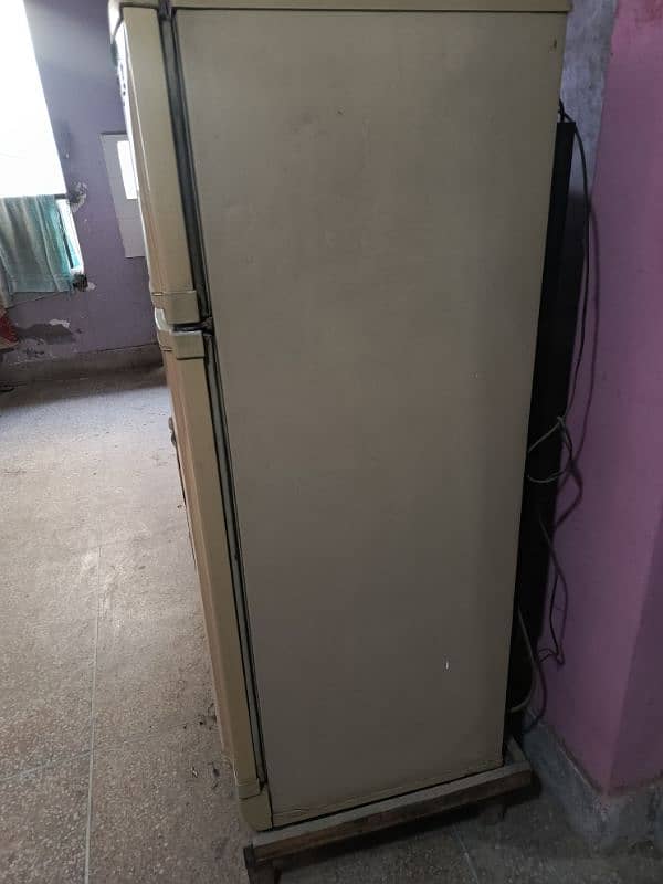 Pel Fridge For Sale 1