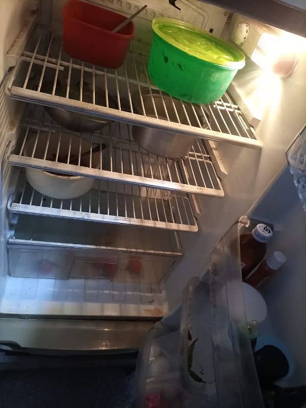 Pel Fridge For Sale 3