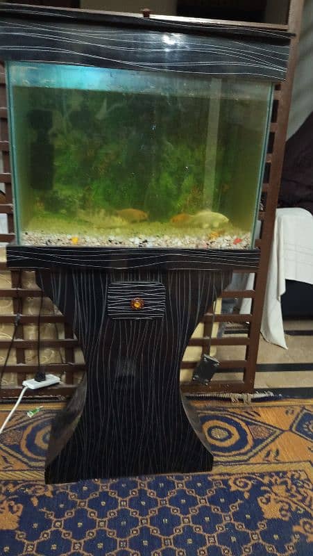 Fish tank for sale with fishes 0