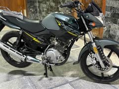 Yamaha YBR 125