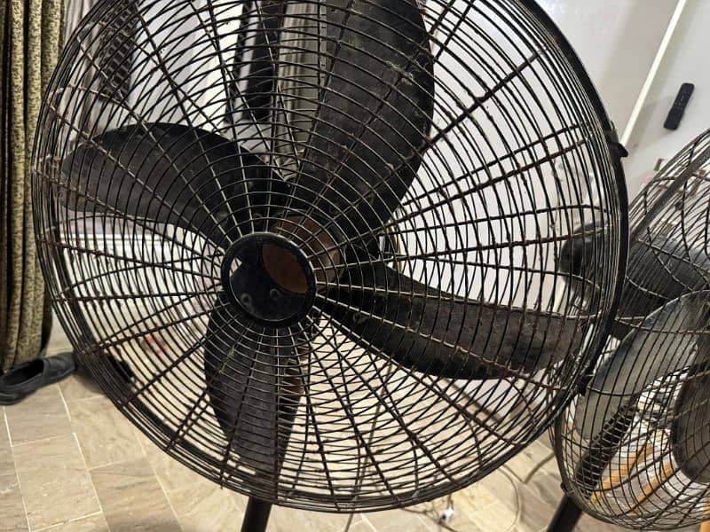 fans for sale 2