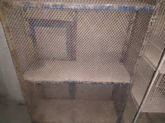 used for sale cage birds urgent sale cage