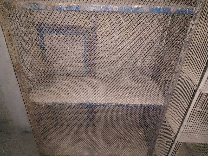 used for sale cage birds urgent sale cage 0