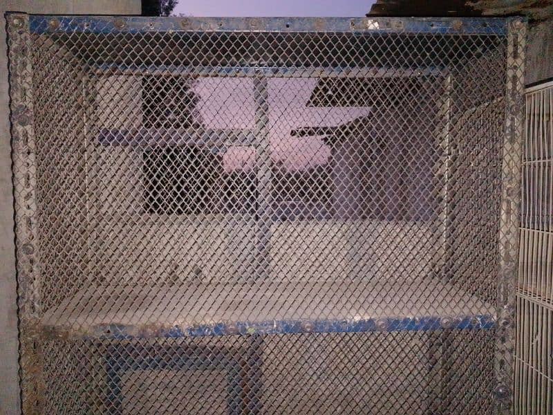 used for sale cage birds urgent sale cage 1