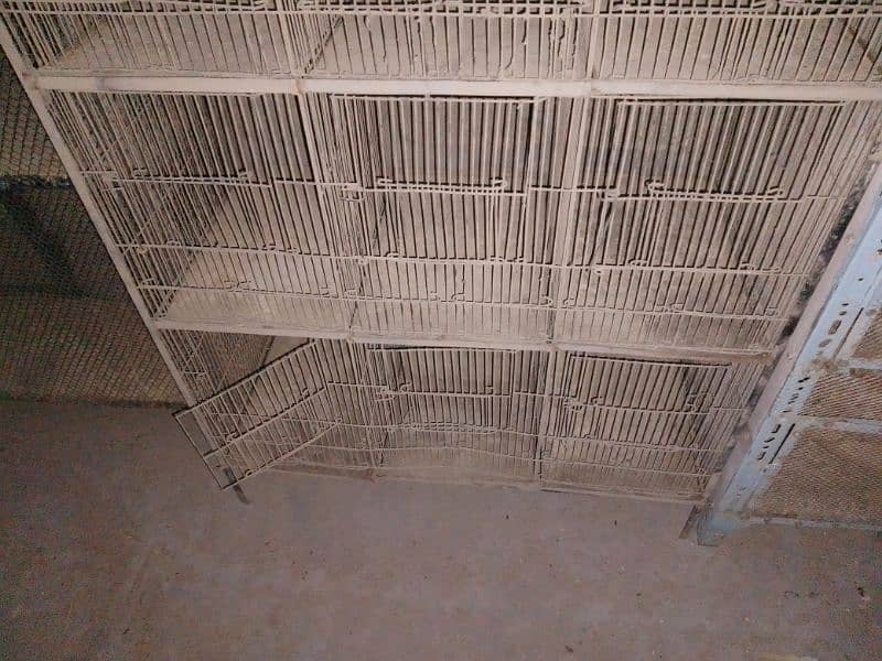 used for sale cage birds urgent sale cage 2