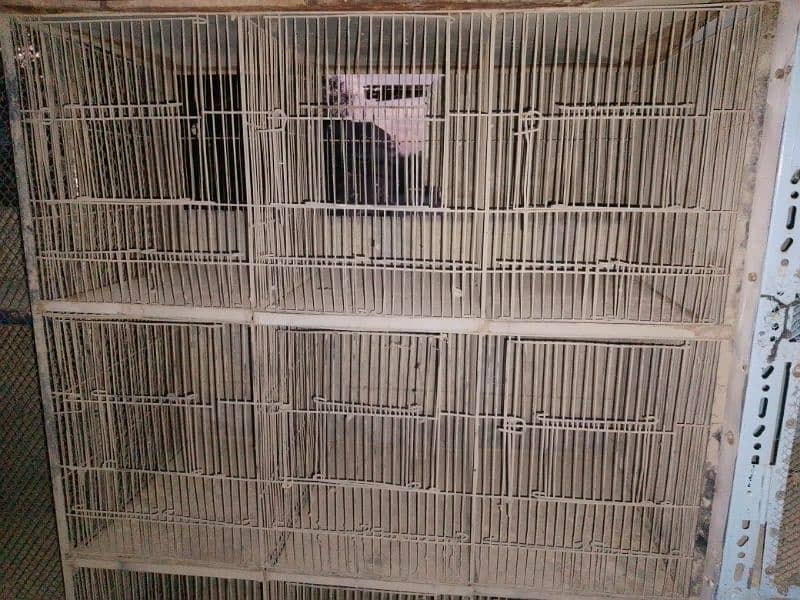 used for sale cage birds urgent sale cage 3