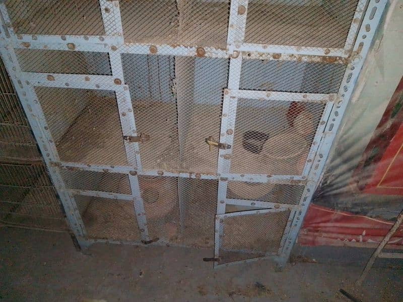 used for sale cage birds urgent sale cage 4