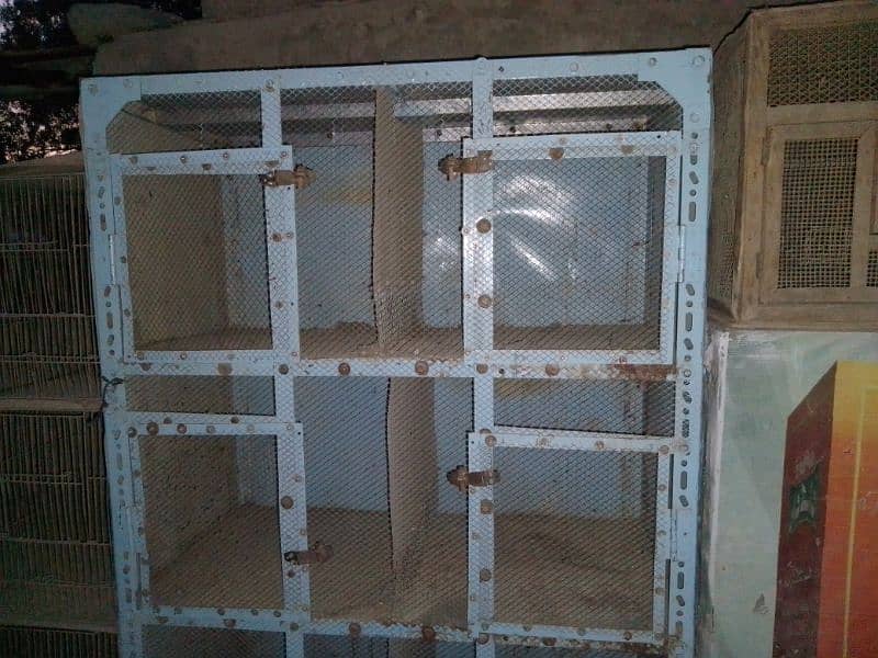 used for sale cage birds urgent sale cage 6