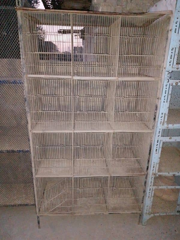 used for sale cage birds urgent sale cage 10