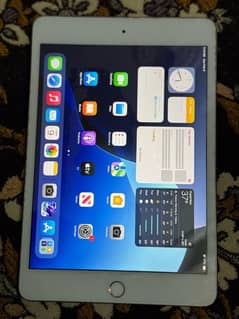 I pad mini 5