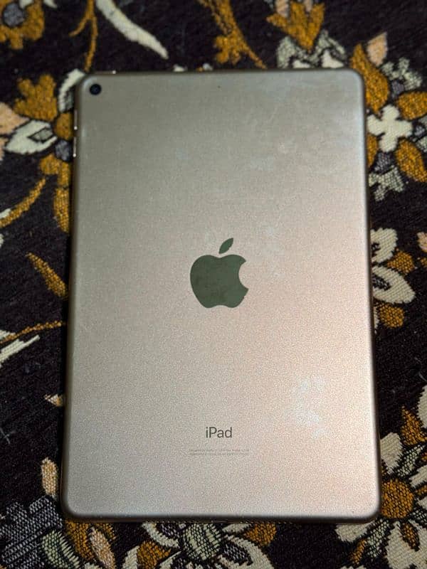 I pad mini 5 1