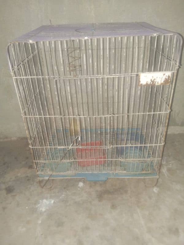 3 love birds with small cage 2