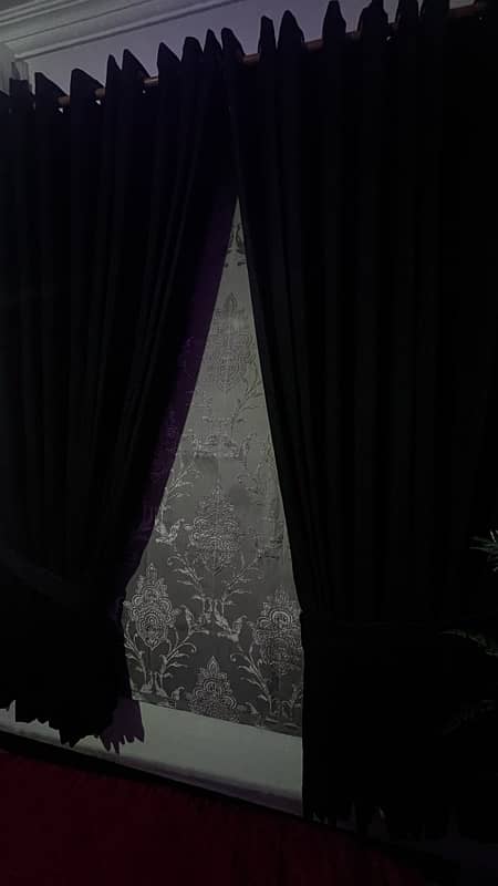 Curtain with blind 2