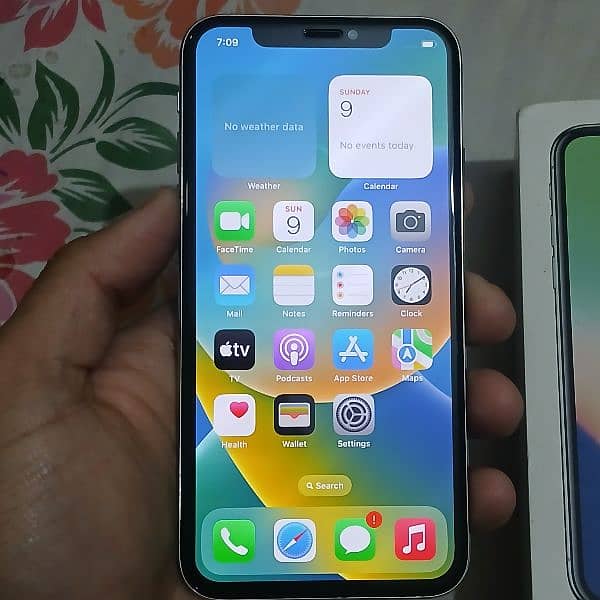 Iphone X 256 GB 9