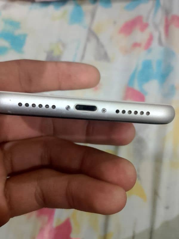 iphone 11 pta 5