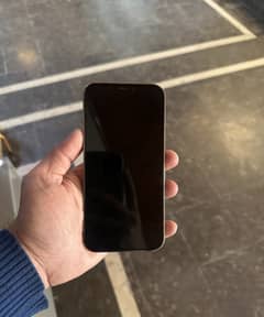 iPhone 12 Pro Max PTA Approved