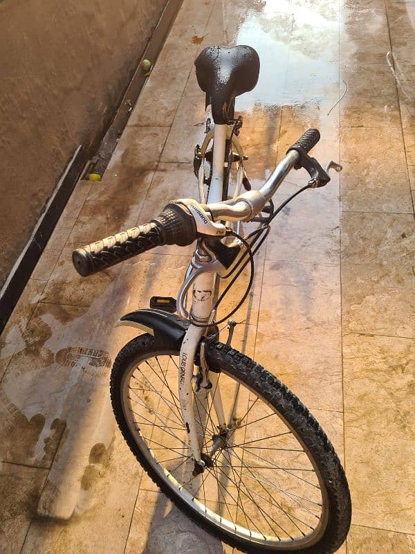 Louis Garneu Mountain Bike 5