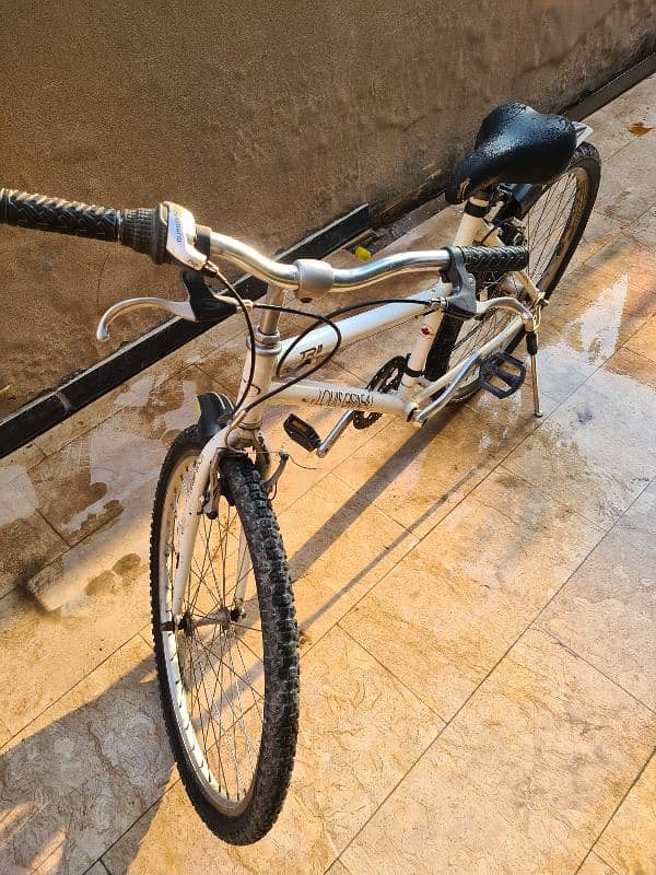 Louis Garneu Mountain Bike 7