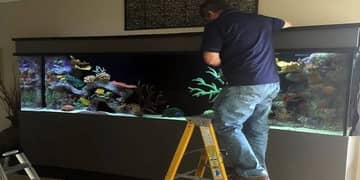 Aquarium cleaning service,