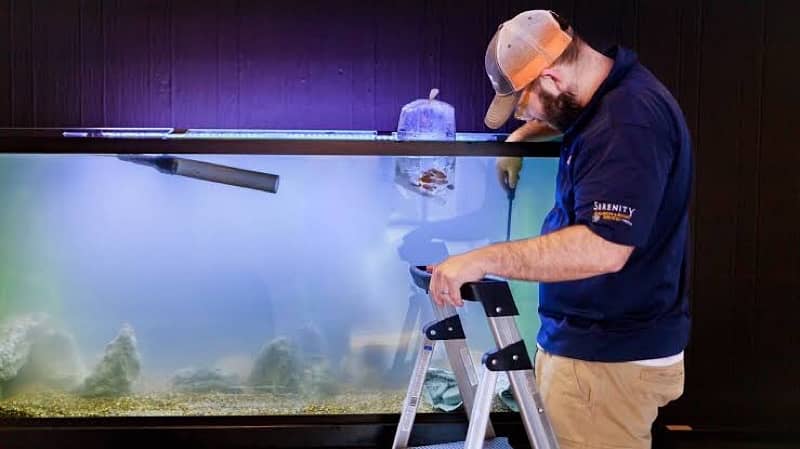 Aquarium cleaning service, 3