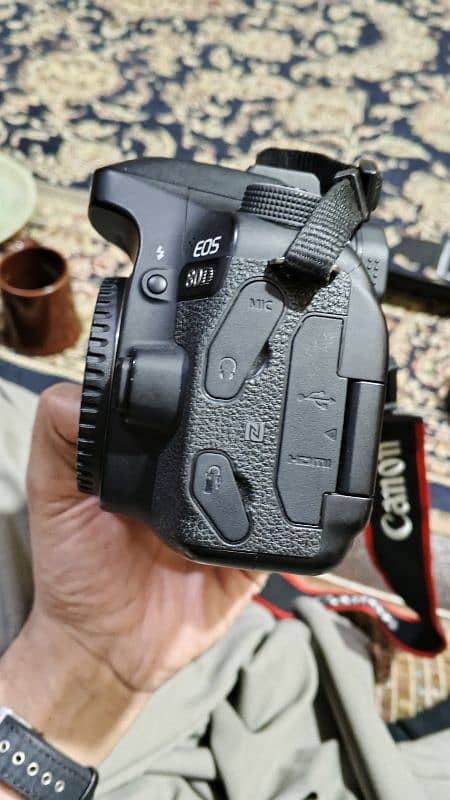 Canon EOS 80D 4