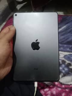 ipad mini 5