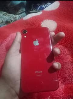 i phone xr non pta