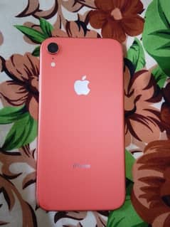 IPhone XR PTA approved 128 GB