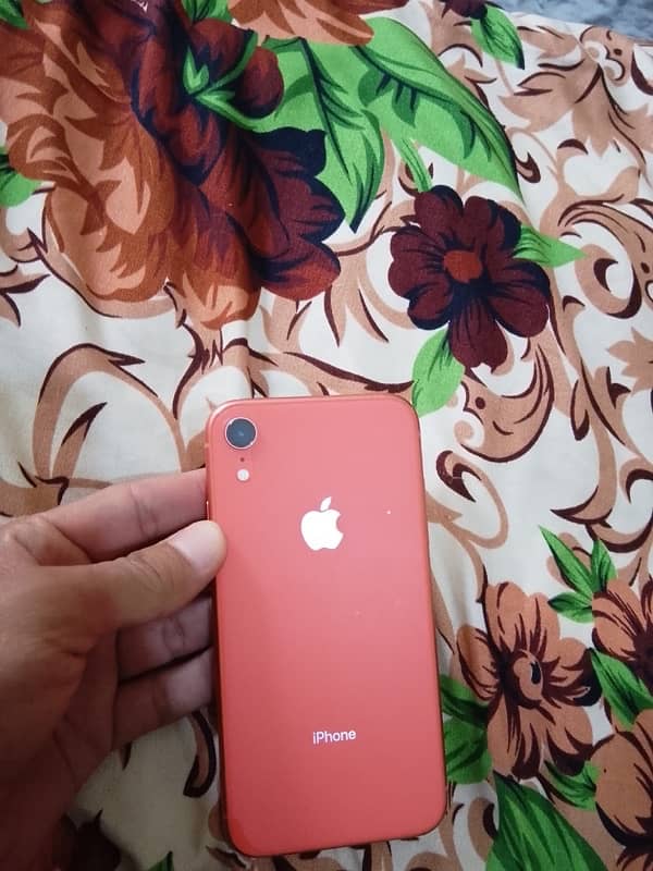 IPhone XR PTA approved 128 GB 5