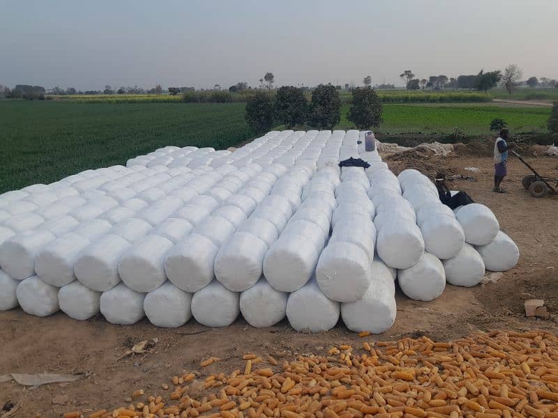 Silage Bag is Available for Sale, Contact 0304-4134548 1