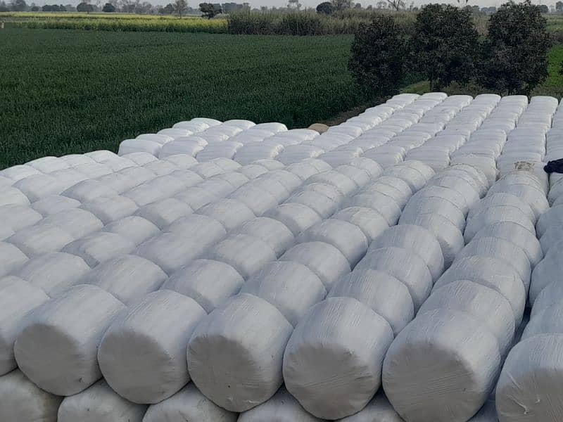 Silage Bag is Available for Sale, Contact 0304-4134548 13