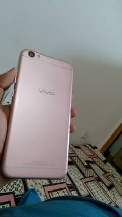 vivo y 67 ha