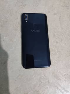 vivo