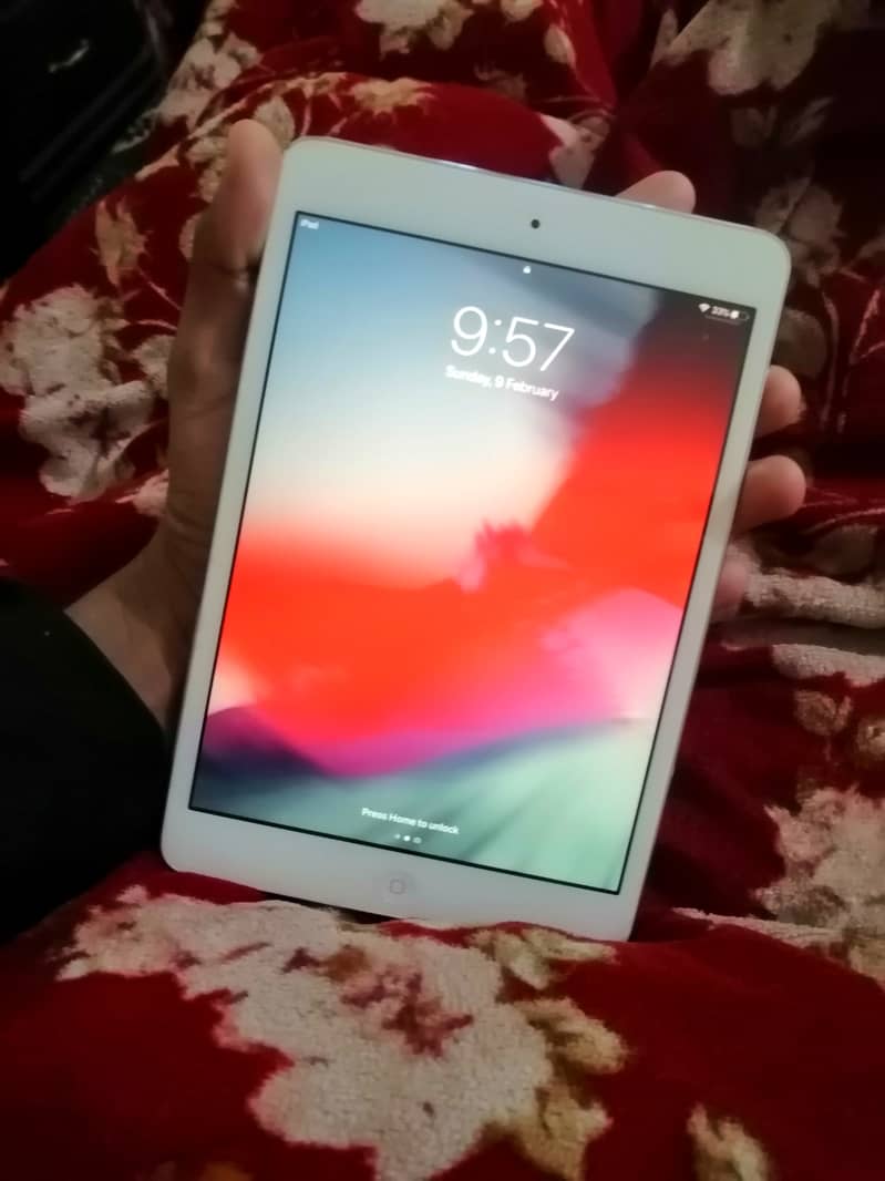 Ipad mini2 0