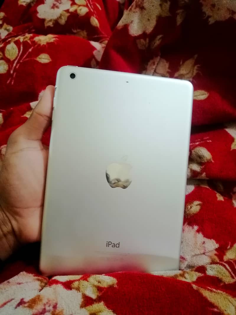 Ipad mini2 1