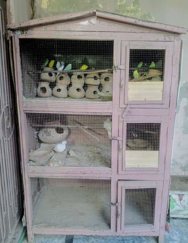 birds and Hens cage with all birds 0