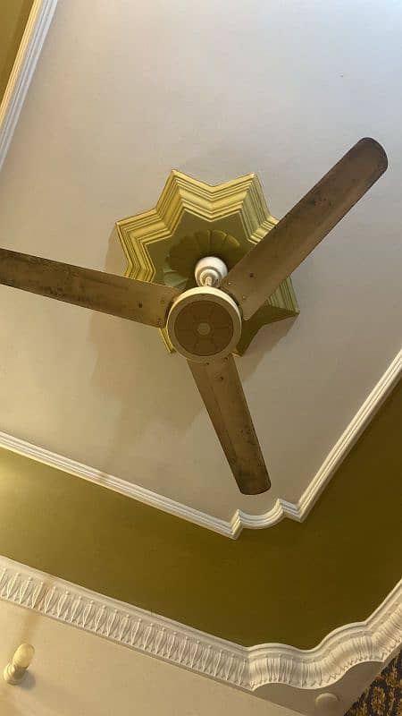 celling fans pak fan 0